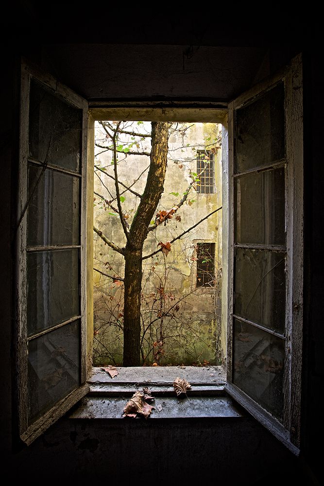 Autumn in asylum art print by Marco Tagliarino for $57.95 CAD