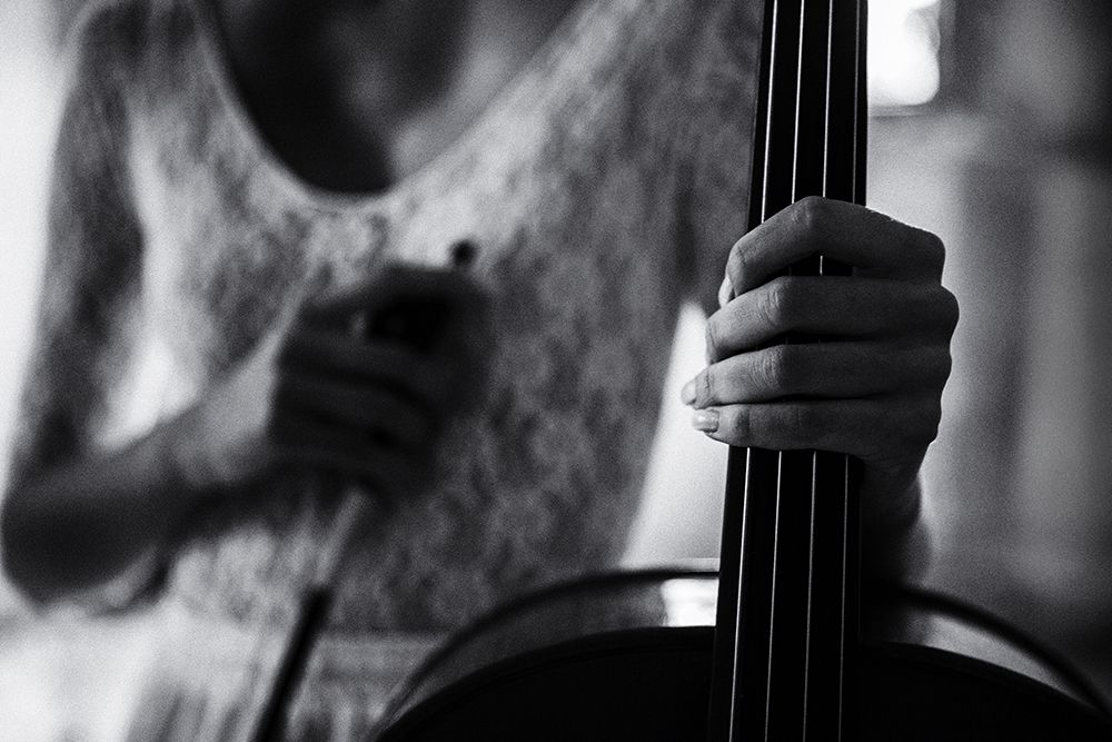 Break For The Cello art print by Roswitha Schleicher-Schwarz for $57.95 CAD