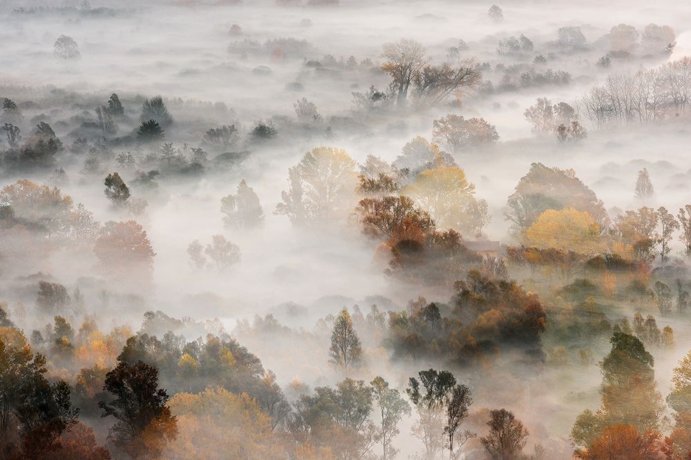 Autumns art print by Roberto Marini for $57.95 CAD