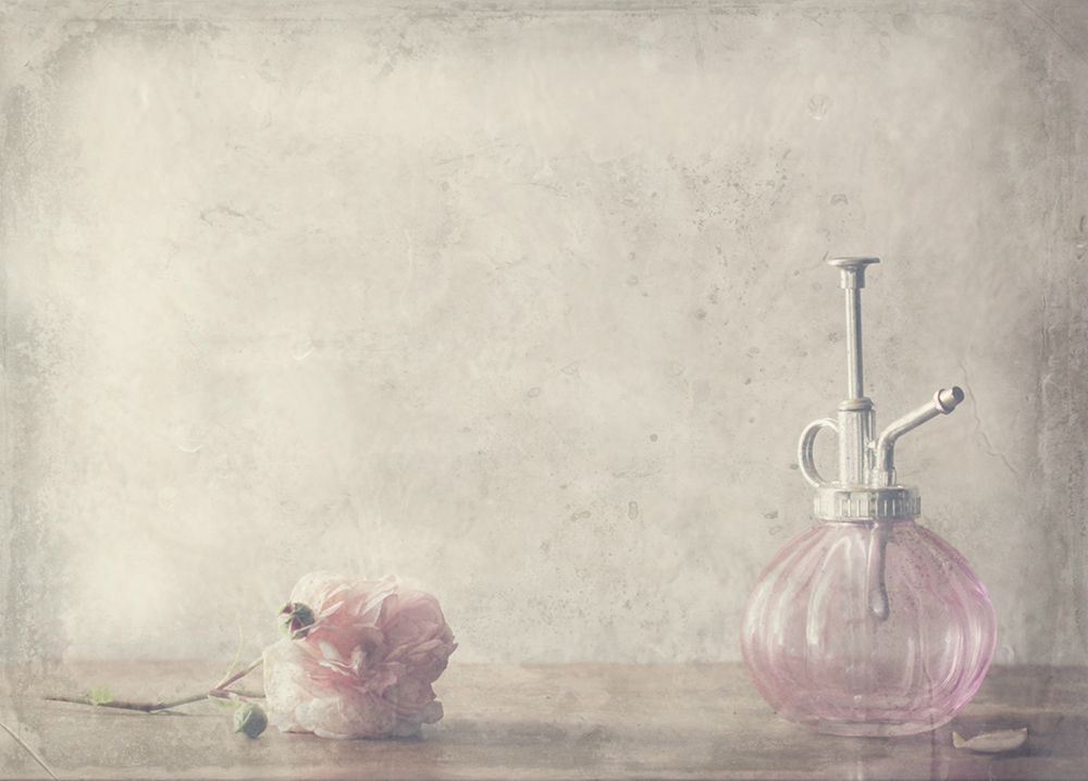 Stay art print by Delphine Devos for $57.95 CAD