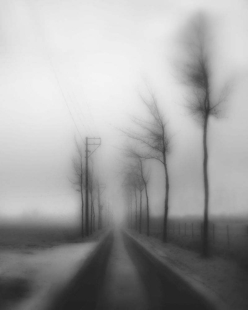 Winter blues art print by Yvette Depaepe for $57.95 CAD