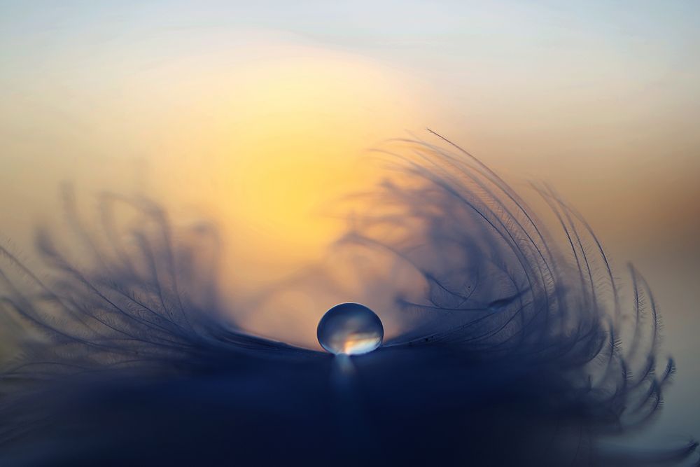 Morning art print by Peep Loorits for $57.95 CAD