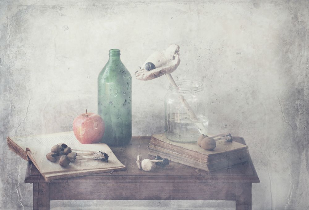 Mushrooms art print by Delphine Devos for $57.95 CAD