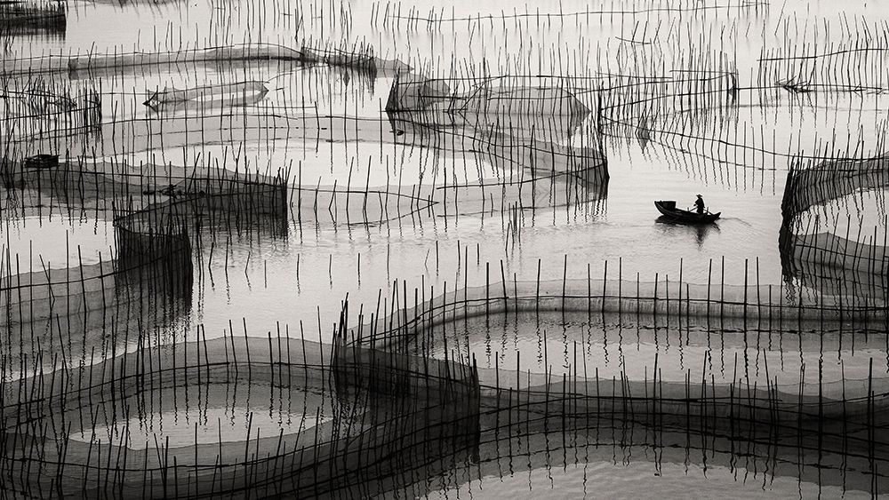 Waiting For The Catch ... art print by Ahmed Abdulazim for $57.95 CAD