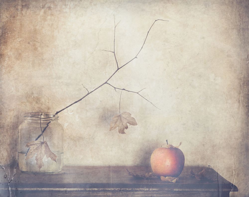 Fall, Leaves, Fall art print by Delphine Devos for $57.95 CAD