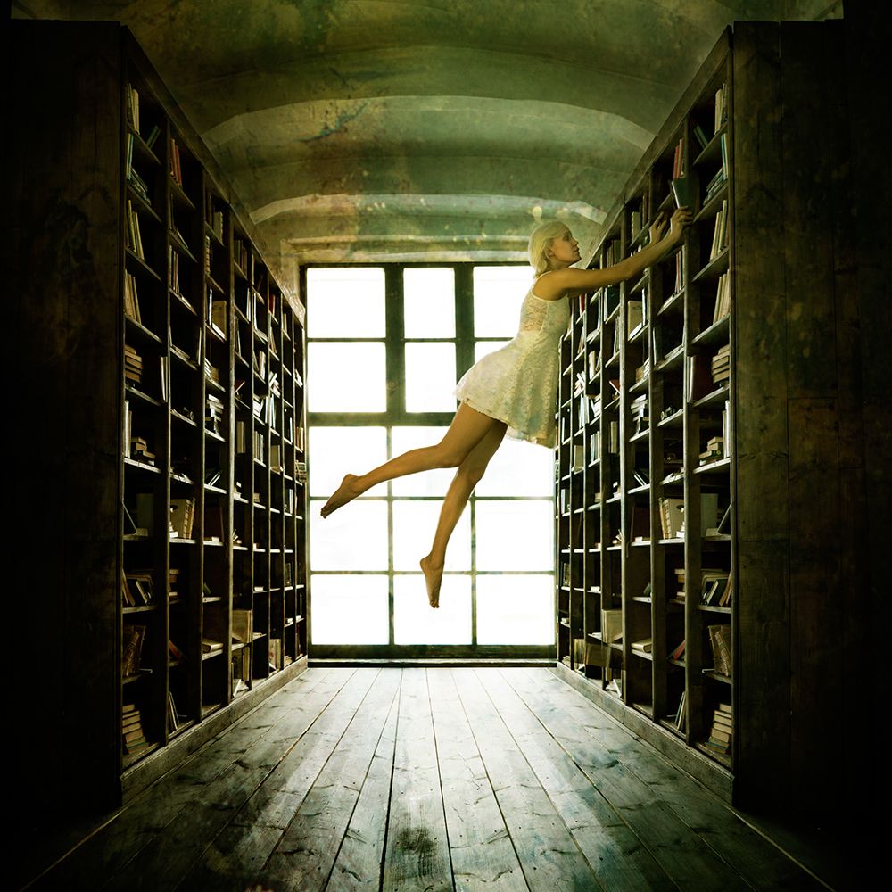 In The Library art print by Mike Darzi for $57.95 CAD