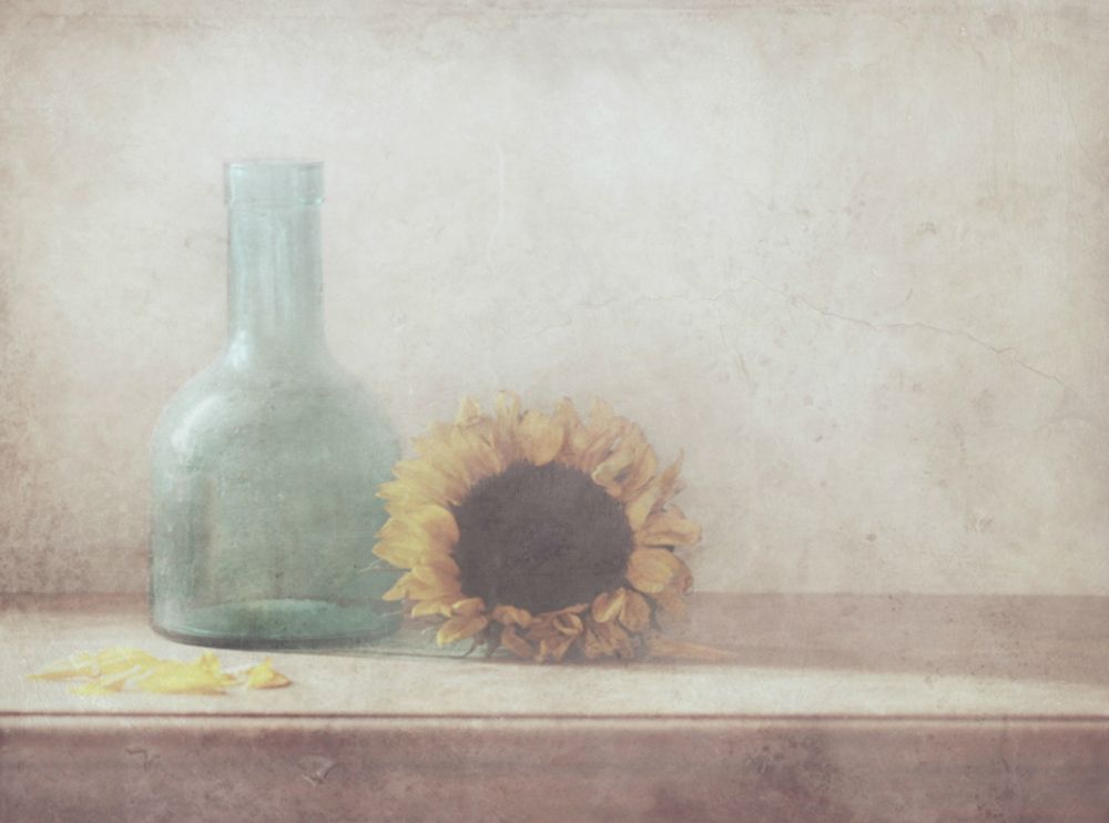 Sunflower art print by Delphine Devos for $57.95 CAD