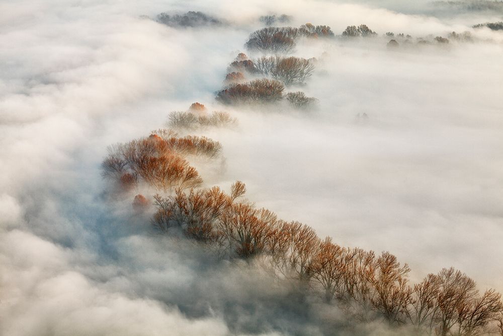 Foggy Valley art print by Fiorenzo Carozzi for $57.95 CAD