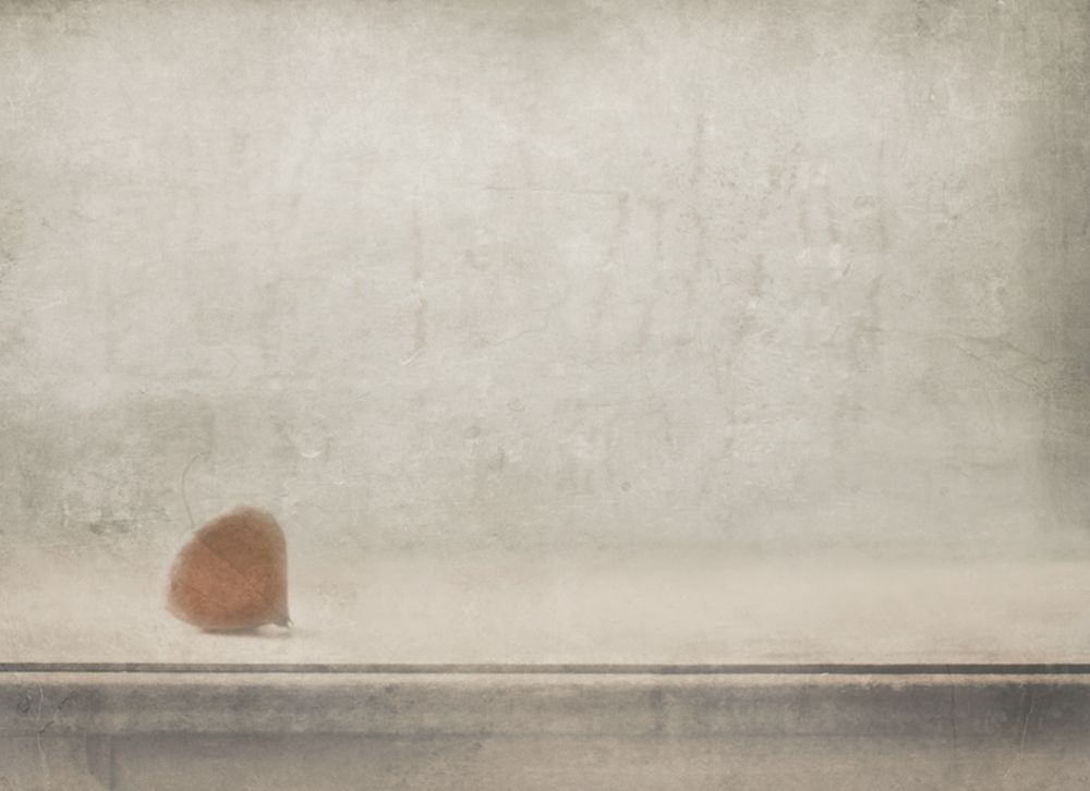Solitude Stands By The Window art print by Delphine Devos for $57.95 CAD