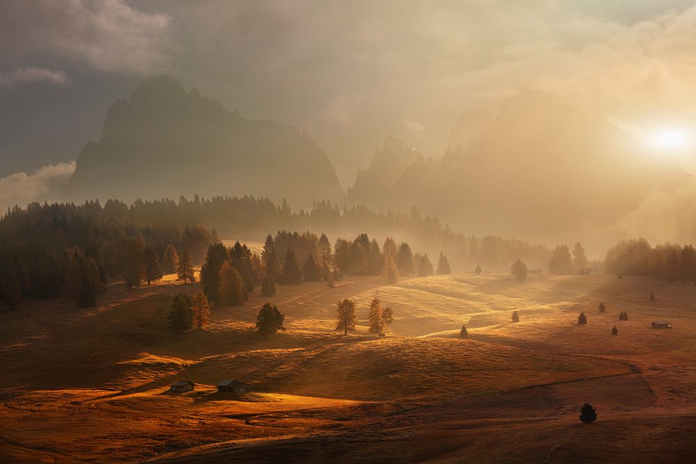 Morning On Alpine Meadow art print by Daniel Rericha for $57.95 CAD