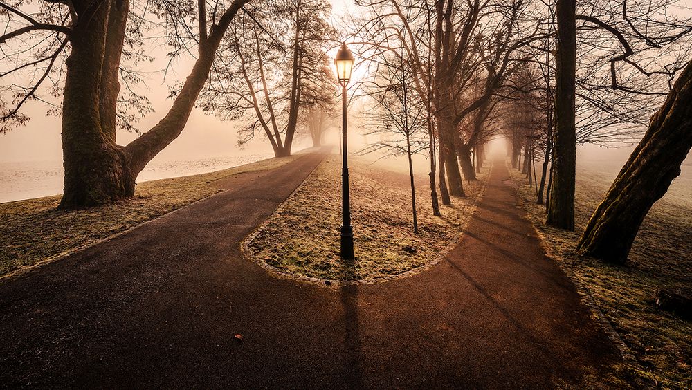 Double path art print by Ales Krivec for $57.95 CAD