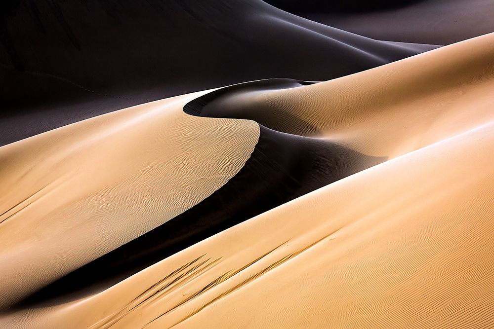 S art print by Mohammadreza Momeni for $57.95 CAD