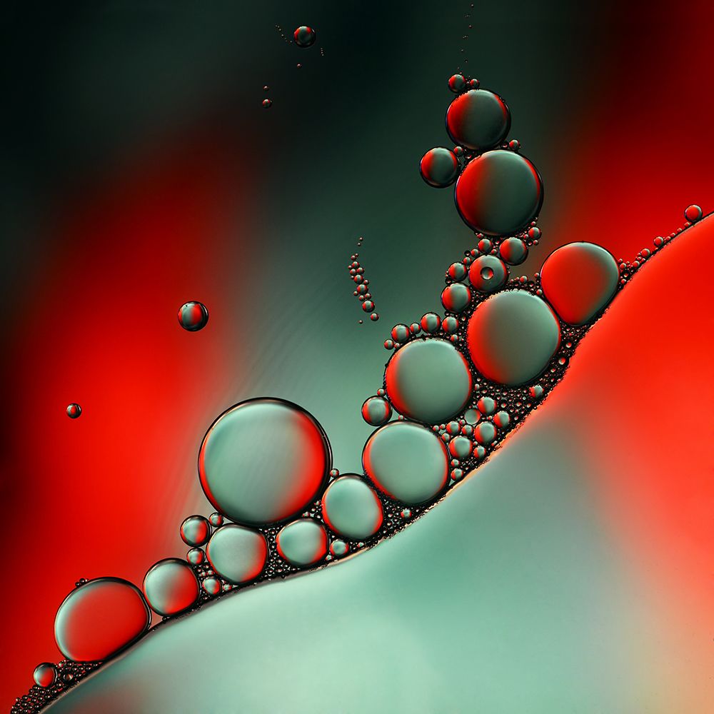 Color Adaptation art print by Heidi Westum for $57.95 CAD