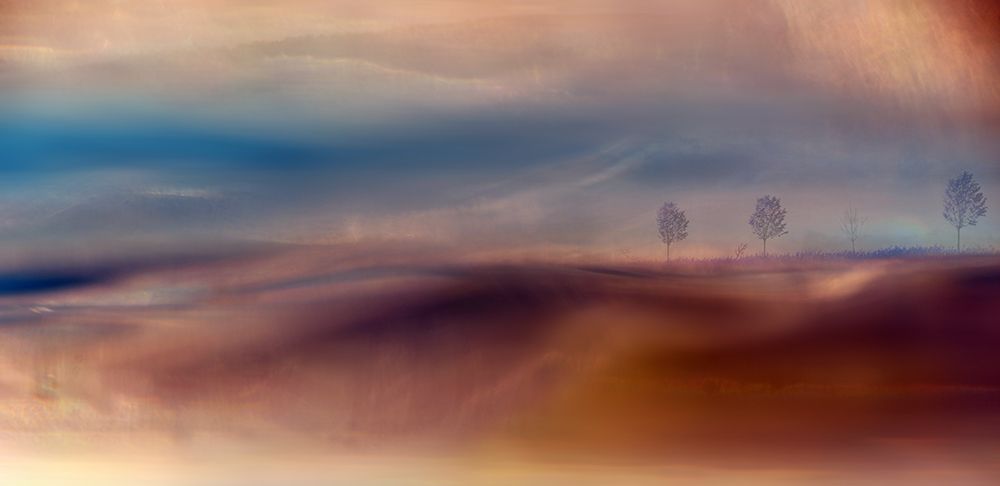 Aquarelle art print by Heidi Westum for $57.95 CAD