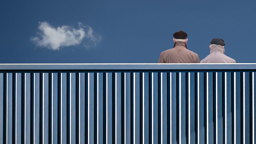 The Fence art print by Luc Vangindertael for $57.95 CAD
