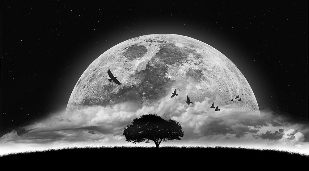 A Dream art print by Nasser Osman for $57.95 CAD