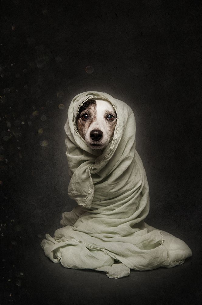 Wrapped art print by Heike Willers for $57.95 CAD