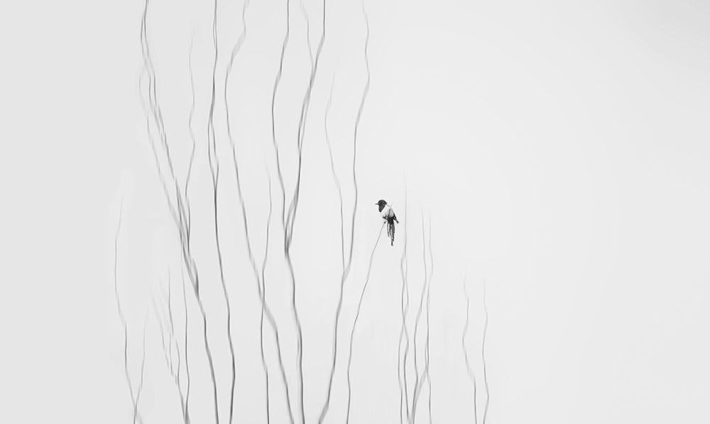 Winter Moment art print by Shan Jiang for $57.95 CAD