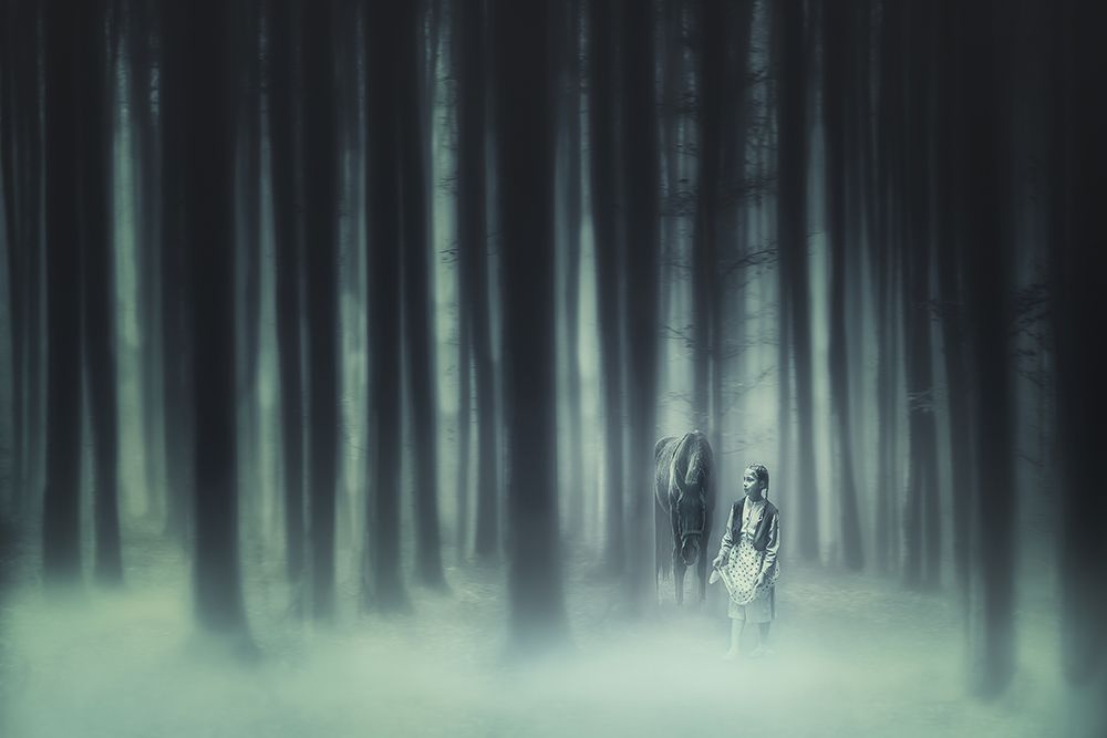 He had forest fairy art print by Stanislav Hricko for $57.95 CAD