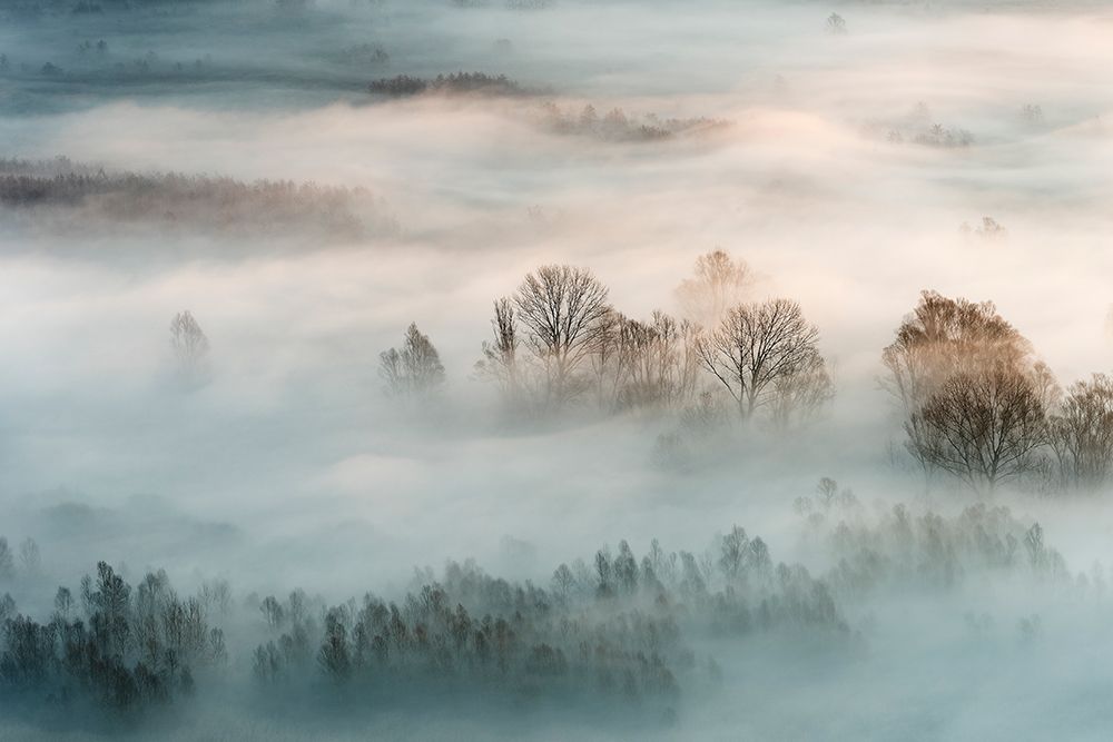 Winter Fog art print by Marco Galimberti for $57.95 CAD