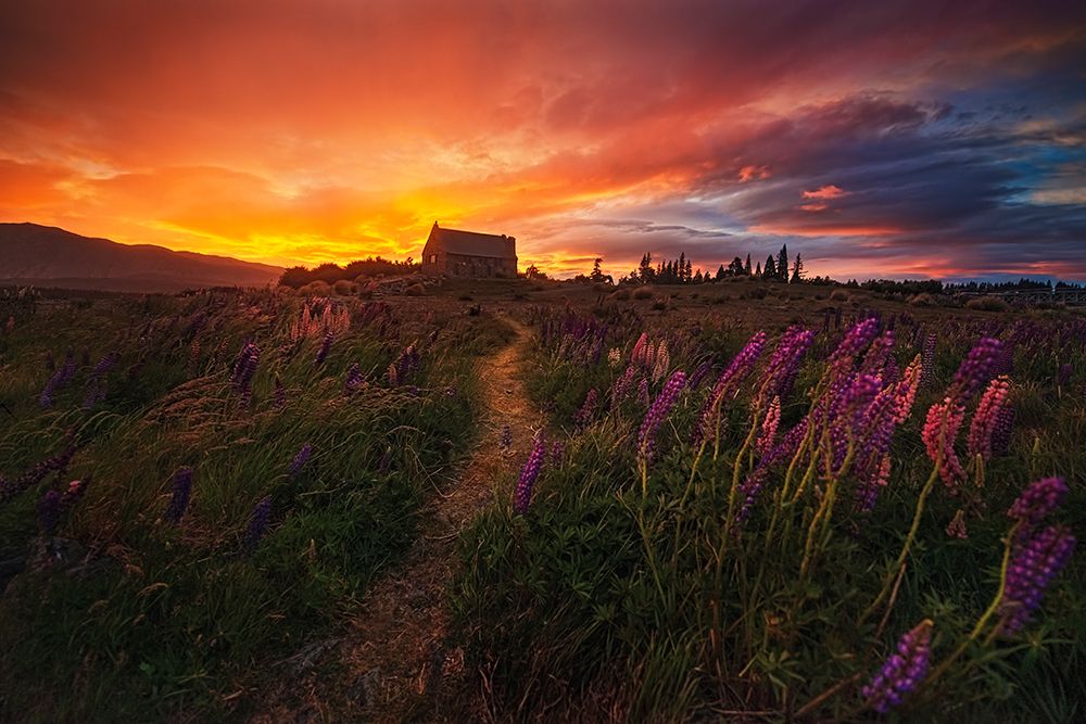 In the Wind art print by Yan Zhang for $57.95 CAD