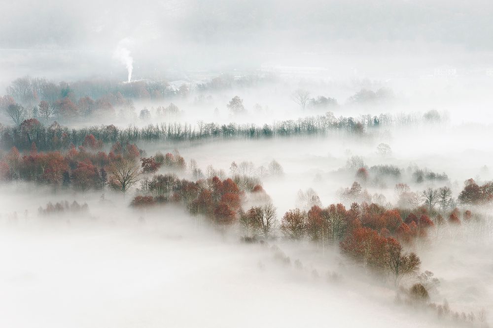 Factory Fog art print by Marco Galimberti for $57.95 CAD