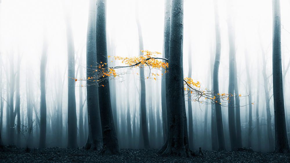 Speulder Revisited art print by Lars Van De for $57.95 CAD
