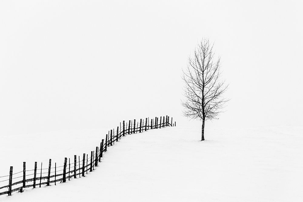 S I L E N C E art print by Sveduneac Dorin Lucian for $57.95 CAD