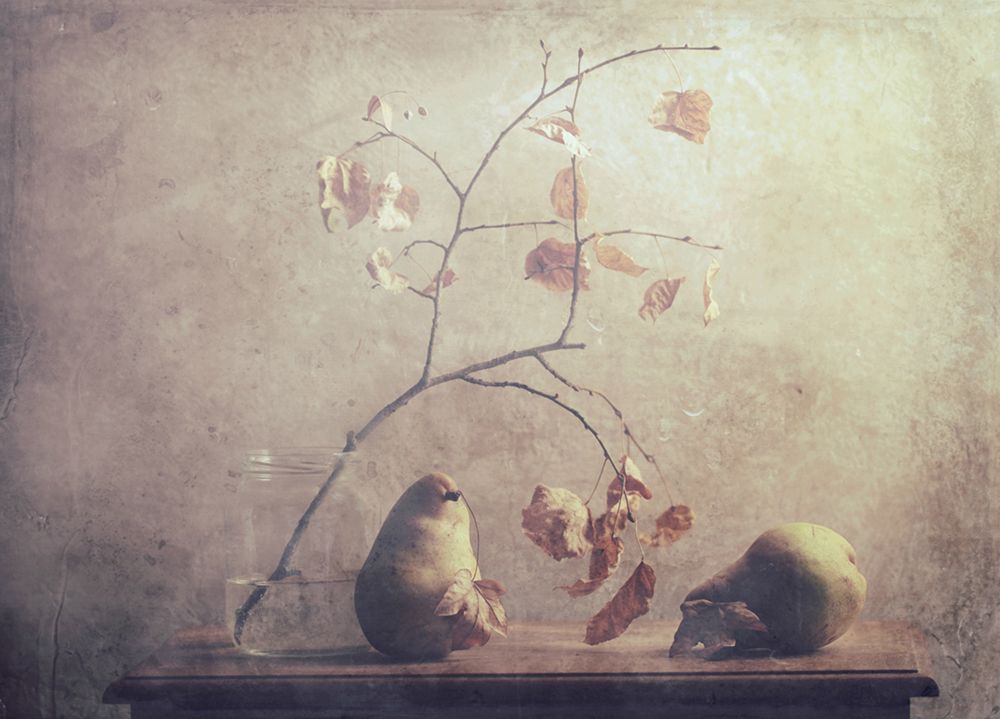The Dead Leaves art print by Delphine Devos for $57.95 CAD