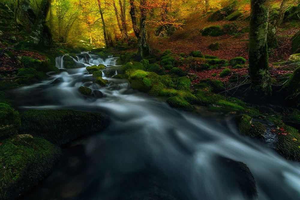 past seasons art print by Carlos Gonzalez for $57.95 CAD