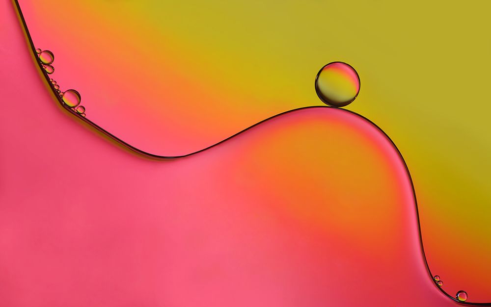 During art print by Heidi Westum for $57.95 CAD