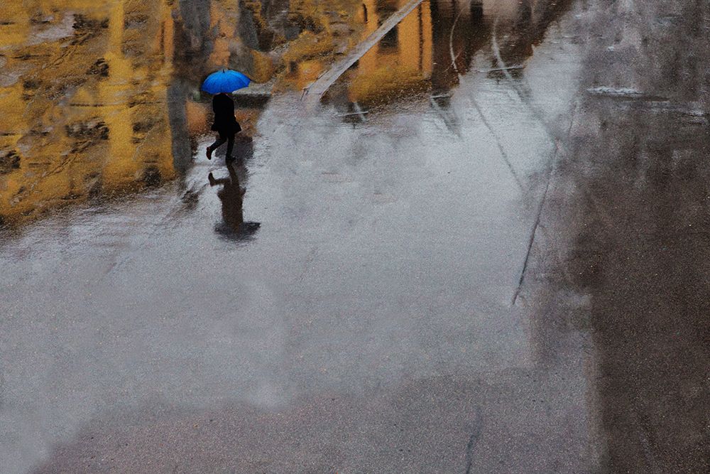 The blue umbrella art print by Massimo Della Latta for $57.95 CAD