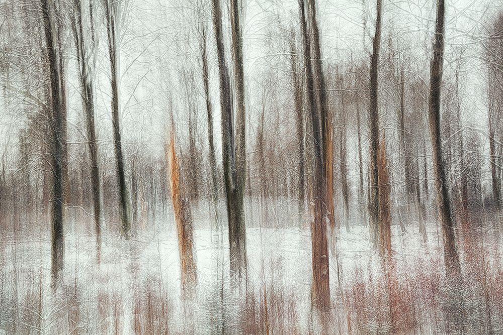 Cold art print by Gustav Davidsson for $57.95 CAD