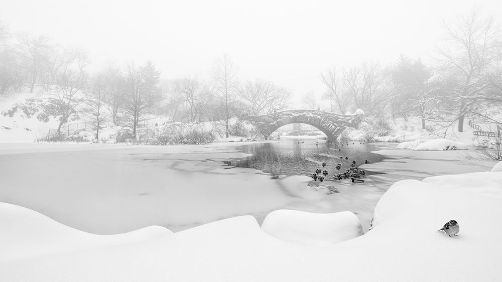 The first snow of central park art print by Menghuailin for $57.95 CAD