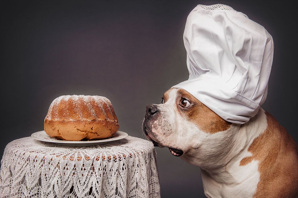 The Confectioner And His Masterpiece art print by Heike Willers for $57.95 CAD