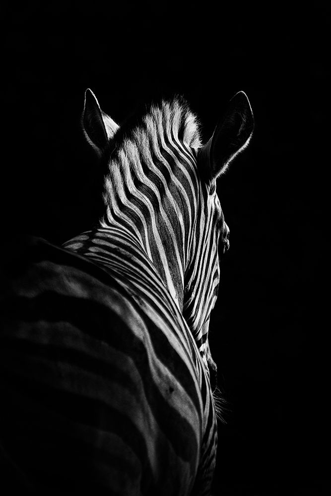 Stepping Down #6 art print by Christian Meermann for $57.95 CAD
