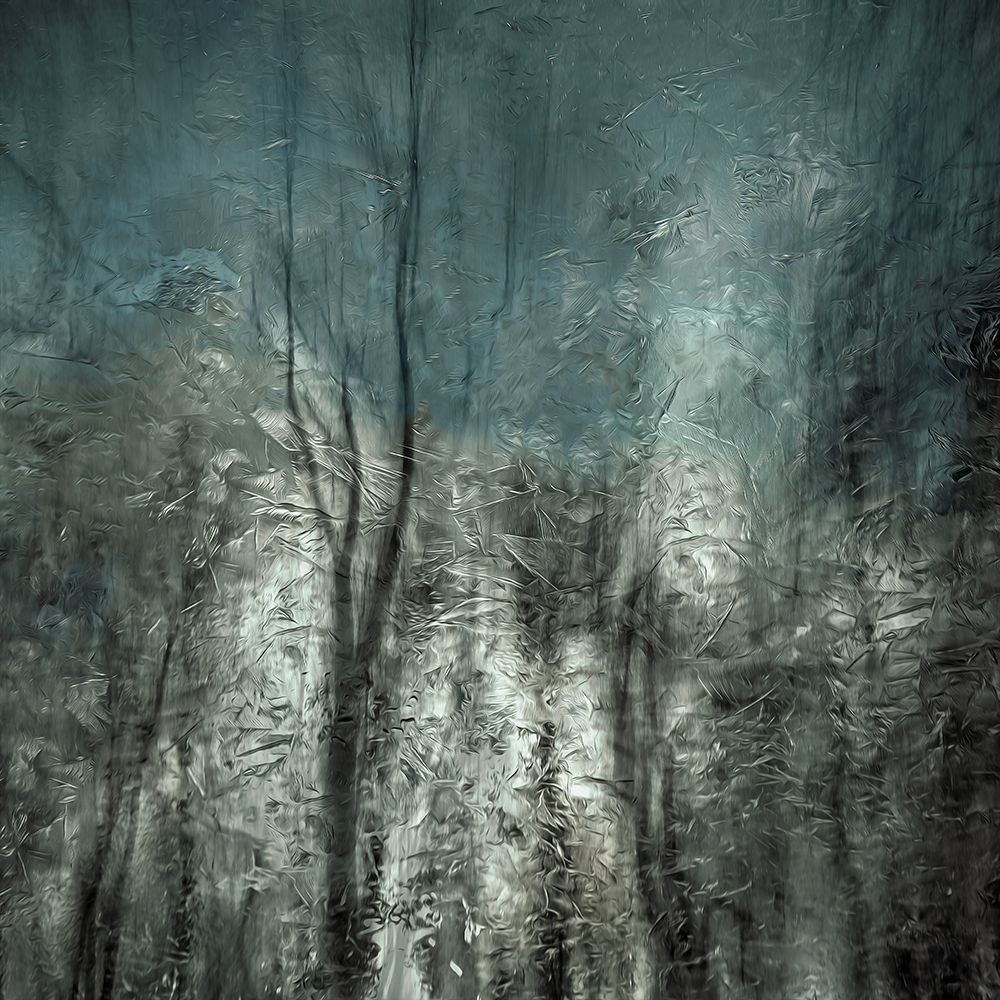 Frozen Frost Wood art print by Gilbert Claes for $57.95 CAD