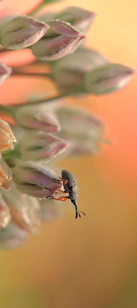 Help, Theres Someone... art print by Thierry Dufour for $57.95 CAD