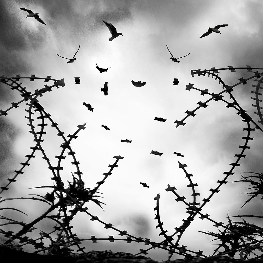 Dreamland 08 art print by George Digalakis for $57.95 CAD