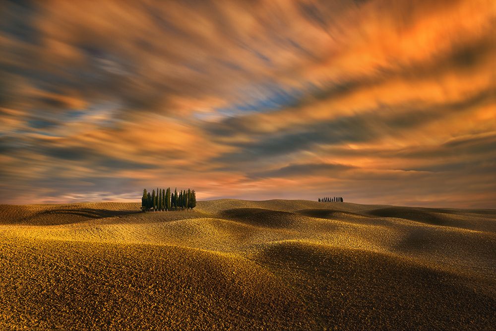 Cypresses... art print by Krzysztof Browko for $57.95 CAD