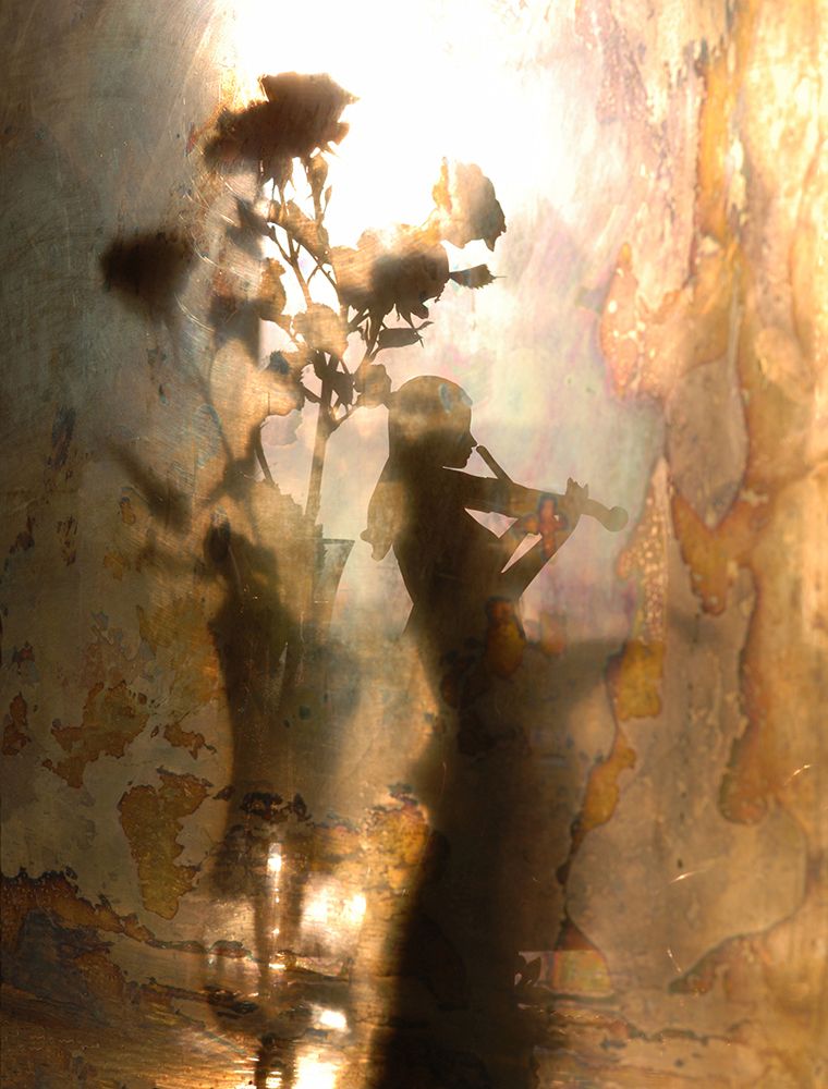 Music Of Light And Shadow art print by Andrey Morozov for $57.95 CAD