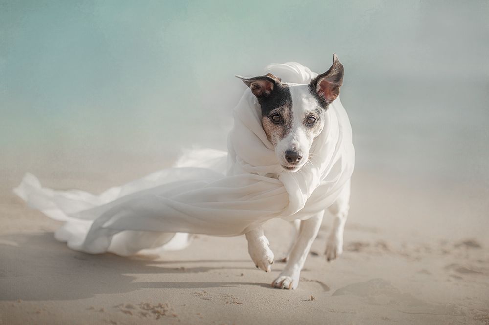 Out of the Storm art print by Heike Willers for $57.95 CAD