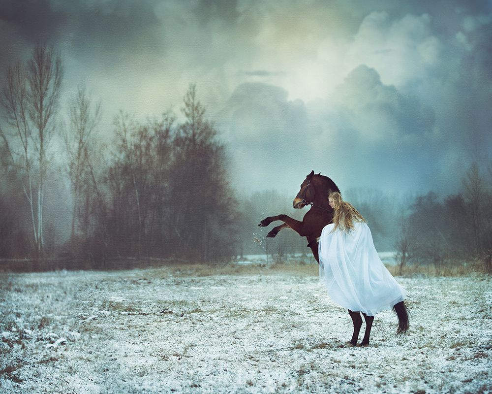 dances with the horse art print by Magdalena Russocka for $57.95 CAD