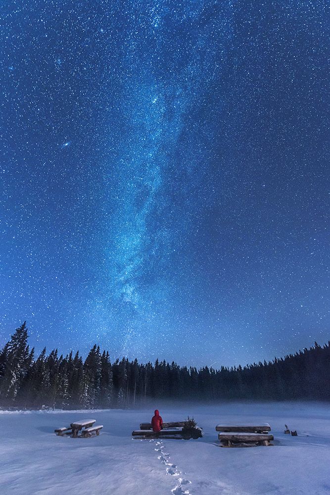 Under the starry night art print by Ales Krivec for $57.95 CAD
