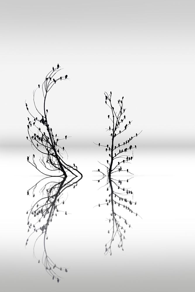 Dreamland 03 art print by George Digalakis for $57.95 CAD