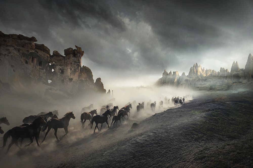Migration art print by Huseyin Taskin for $57.95 CAD