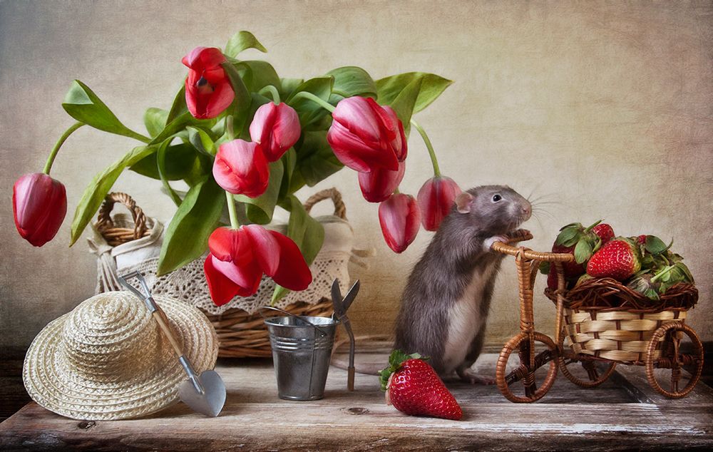 The Farmer art print by Eleonora Grigorjeva for $57.95 CAD