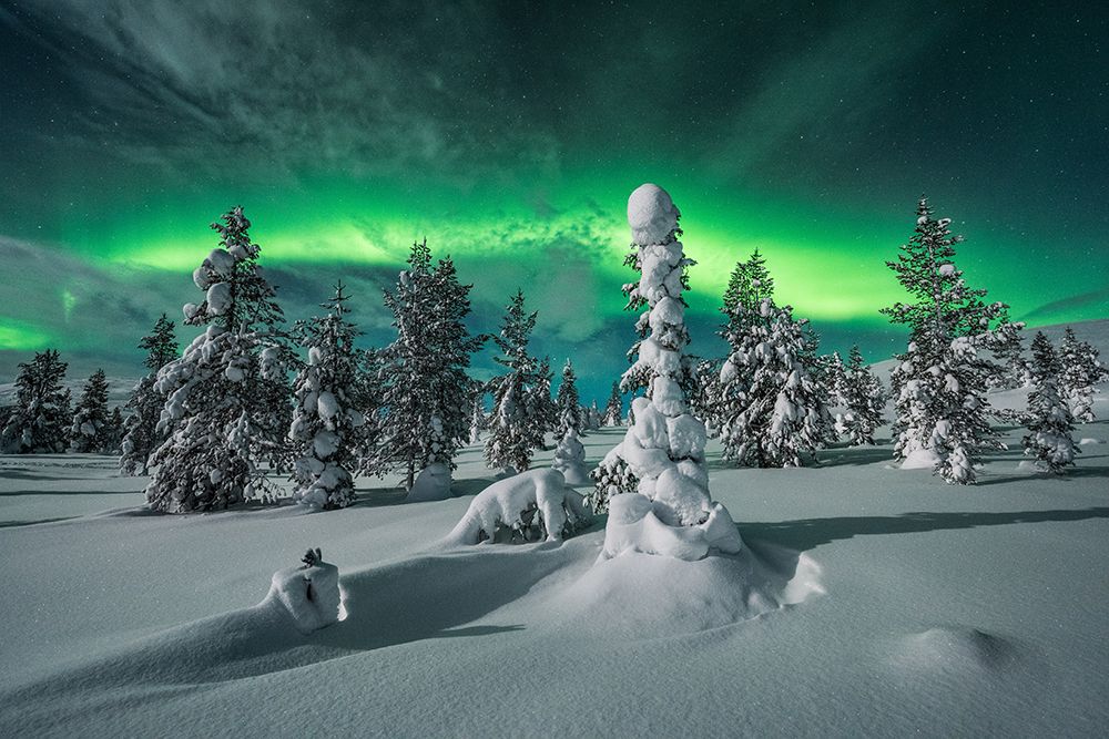 Polar Night art print by Raymond Hoffmann for $57.95 CAD
