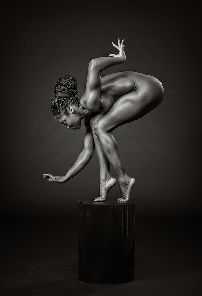 Delicately Poised art print by Catchlight Studio for $57.95 CAD