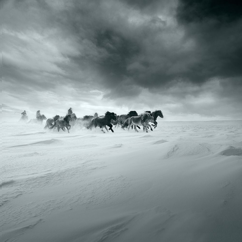 Snowy field art print by Shu-Guang Yang for $57.95 CAD